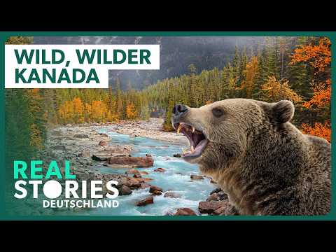 XXL-Doku: Kanadas unberührte Wildnis