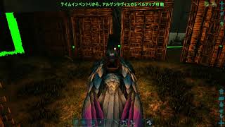 しゃっちーあーーーーーーーーーーーーーーく
