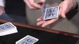 Michael Ammar - Gemini Twins