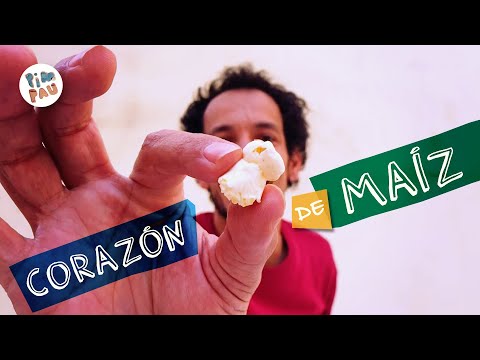 PIM PAU · CORAZÓN DE MAÍZ (Al ritmo de Samba)