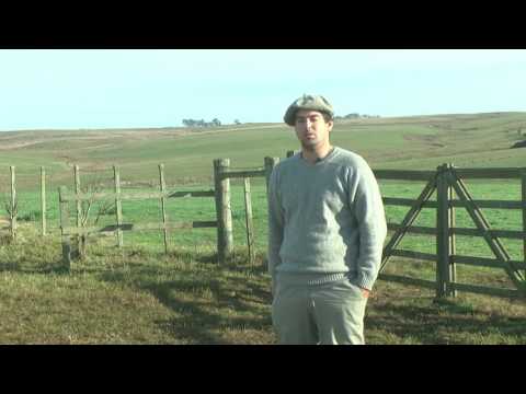 El combate a la garrapata de un productor y técnico de Abrojal, Rivera.