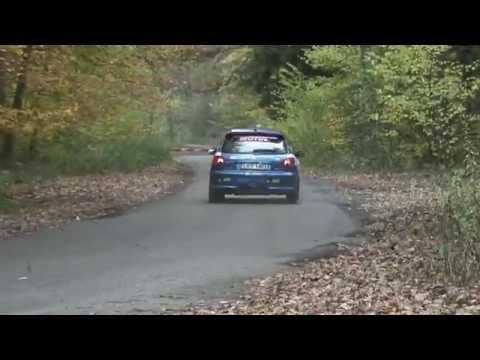 P. Pieńkosz (Peugeot 206 RC) - VI Runda MOTUL Rallyland Cup (25.10.2014)