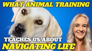 What Animal Training Teaches Us About Navigating Life