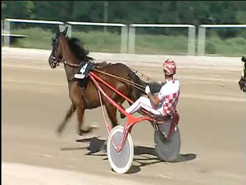 Trotto 20/06/2019 - 2ª corsa