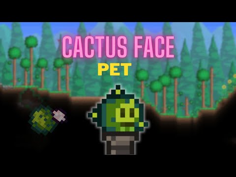 Cactus Face - New Pet (Terraria Endercalipse Mod)