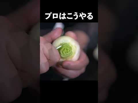 園芸 ルタバガ、カブキャベツ