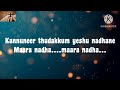 Ente Nikshepam Nee Thanne Original Song Karaoke With Lyrics