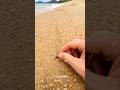 Always be careful when walking on the beach! 😳