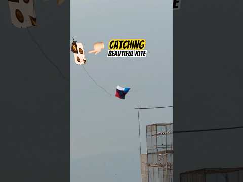 Catching this beautiful kite🤩wait for end #song #catching #kite #kitecaught #unfrezzmyaccount