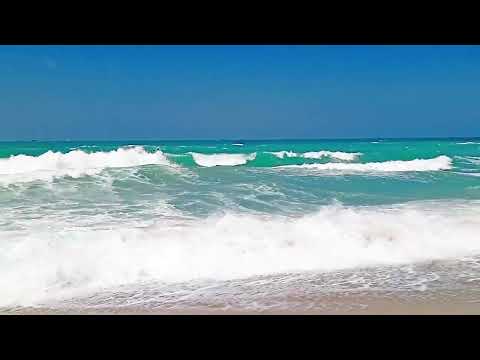 Trending HDR VIDIO | A screen of pure pink prjabat vlogscc| background | bp backdrop #380f