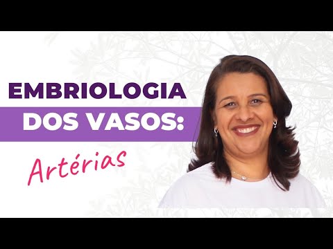 Embriologia do sistema cardiovascular: Artérias.