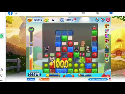 Pet Rescue level 6775, pet rescue, nivel 6775 pet rescue solucionado, solved, sin booster 6775, 6775