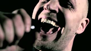 The Twang - Larry Lizard