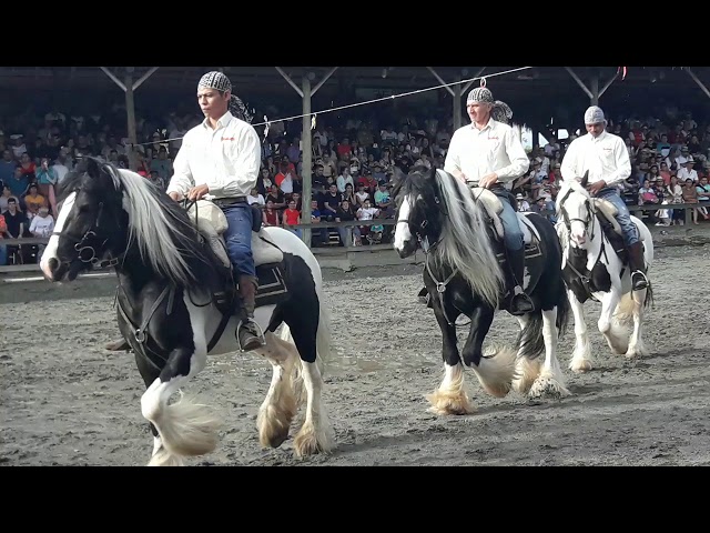 Show Equino Panaca