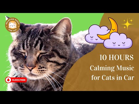 Calming Music for Cats in Car 10 Hours 🐱 Relaxing Music for Cat