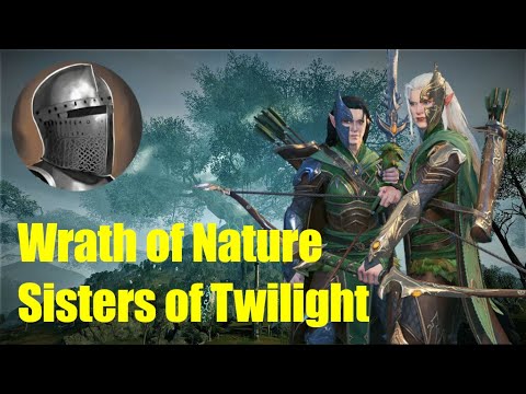 Branching out - Sisters of Twilight part 6 | Total War: Warhammer 3 | Legendary/VeryHard