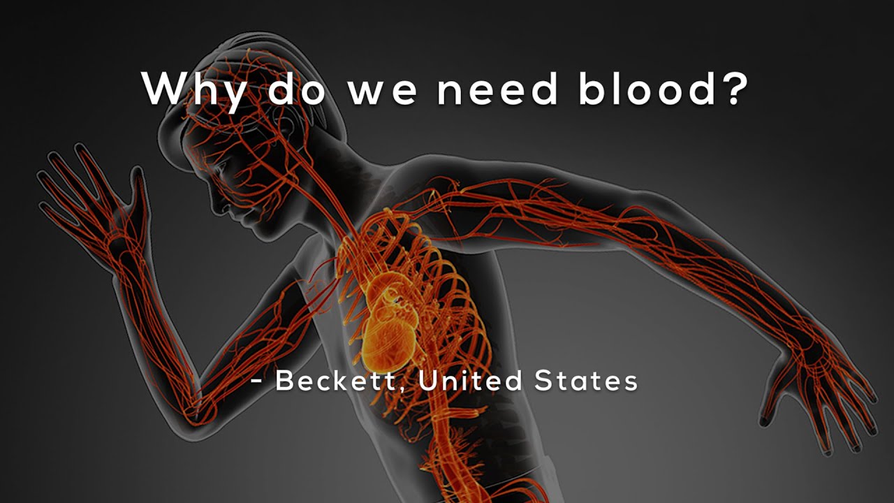 Why do we need blood?