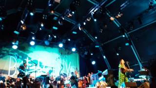 Birdy - Winter