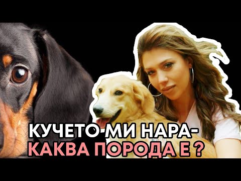 🐾❤️ NARA ❤️🐾 My lovely Dog Princess Baby ❤️