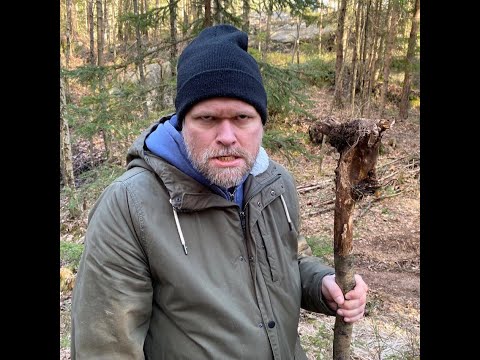 Collection update - lazy edition