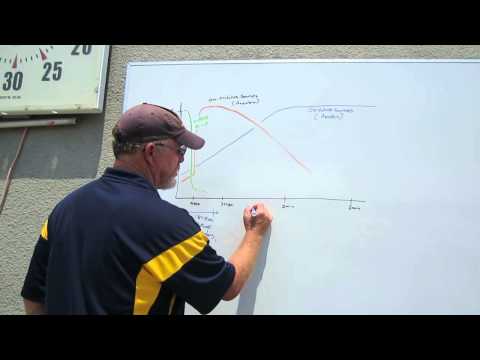 Swim with UC Santa Cruz #1