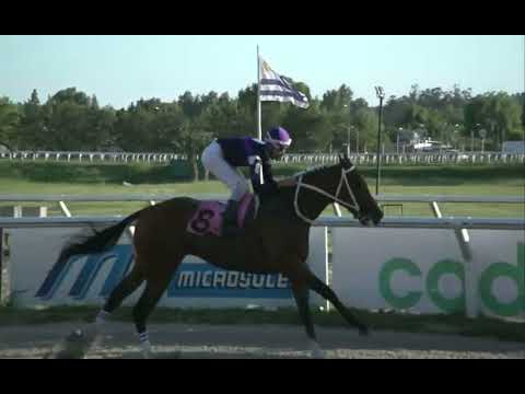 221126 c08 - BRAVO GLORY (BRZ) - HIPODROMO LAS PIEDRAS