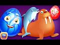 Learn Wild Sea Animals More ChuChu TV Surprise Eggs Learning Videos SUPER COLLECTION 2