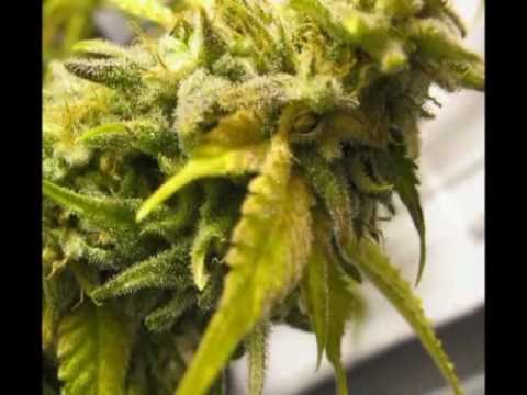 SPARK IT UP 2011-PRODUCED BY EP!DEHM!k