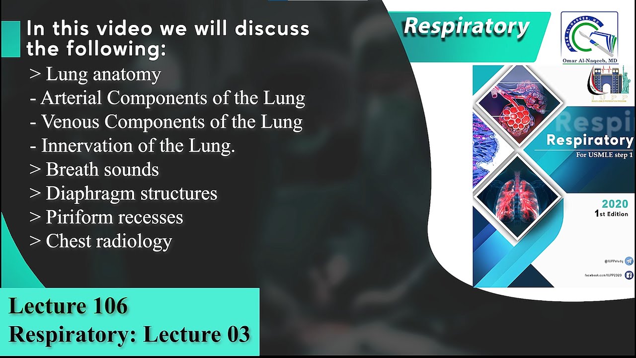 Arterial &Venous Components of the Lung || Breath sounds || Diaphragm structure || Chest radiology