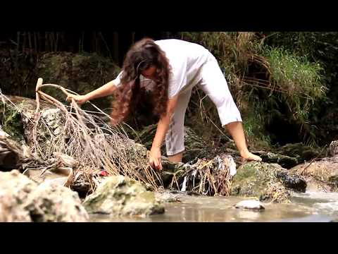 Arte: PERFORMANCE Arroyos contaminados Paraná, Entre Ríos, Argentina ¡Purifiquemos nuestros arroyos!
