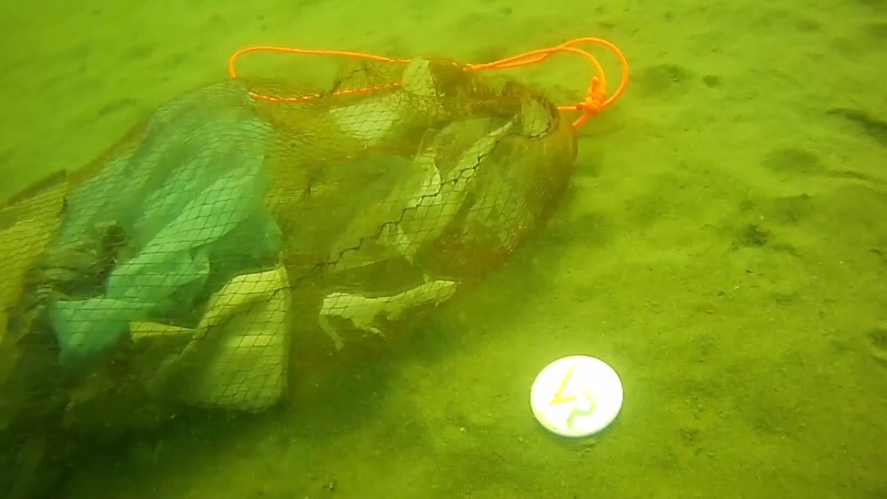 X Gran Limpieza Internacional de Fondos Marinos y Playas