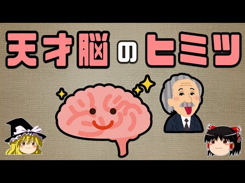アルバート・アインシュタイン: 歴史的手紙が物理学者の未知の予測を明らかにする