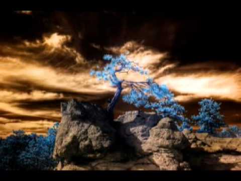 Mystical shamanic landscape