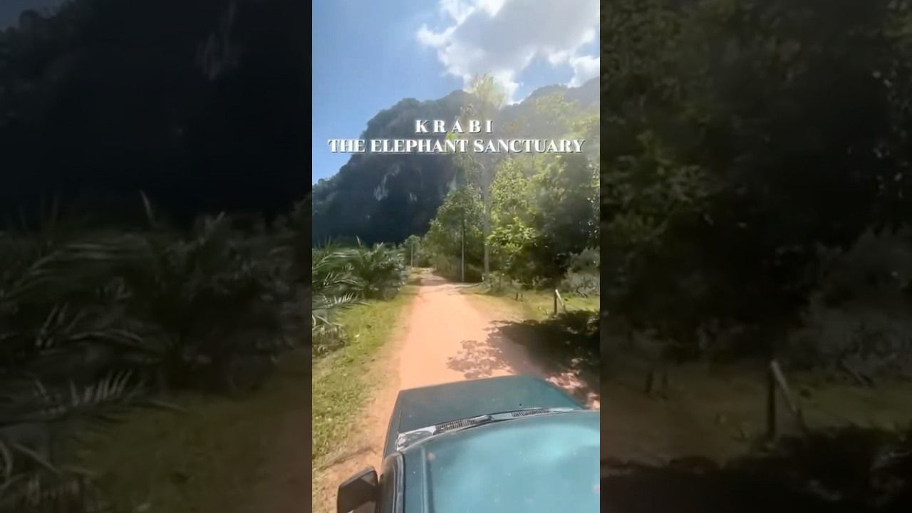 YouTube Short thumbnail