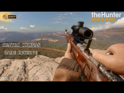 the hunter call of the wild cuatro colinas the hunter call of the wild cuatro colinas