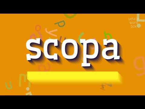 How to say "scopa"! (High Quality Voices)