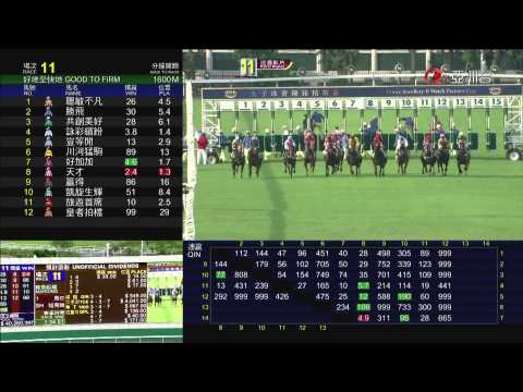 14/06/2015 (699) 詠彩繽紛 (S391) 莫雷拉