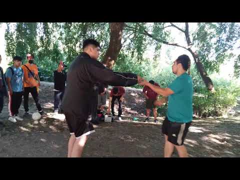 semifinal - dysok vs pino wander rapexzodia fr33