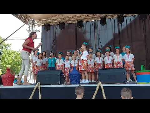 Hor ŠARENI VOKALI - BodrogFest 2021. /Ina Koprivica/