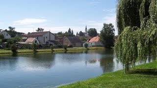 Acker BILK: Wandering