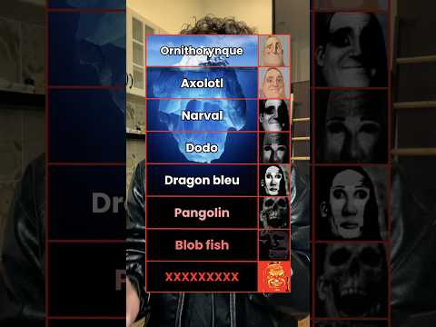 L’iceberg des animaux les plus bizarres