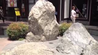 Add meaning to your garden