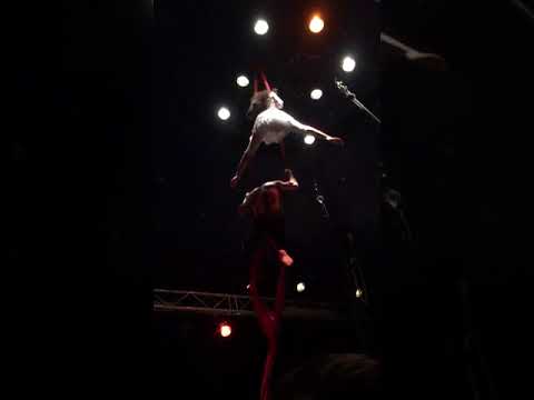 Army of Us - The Rose/Davidovs Project