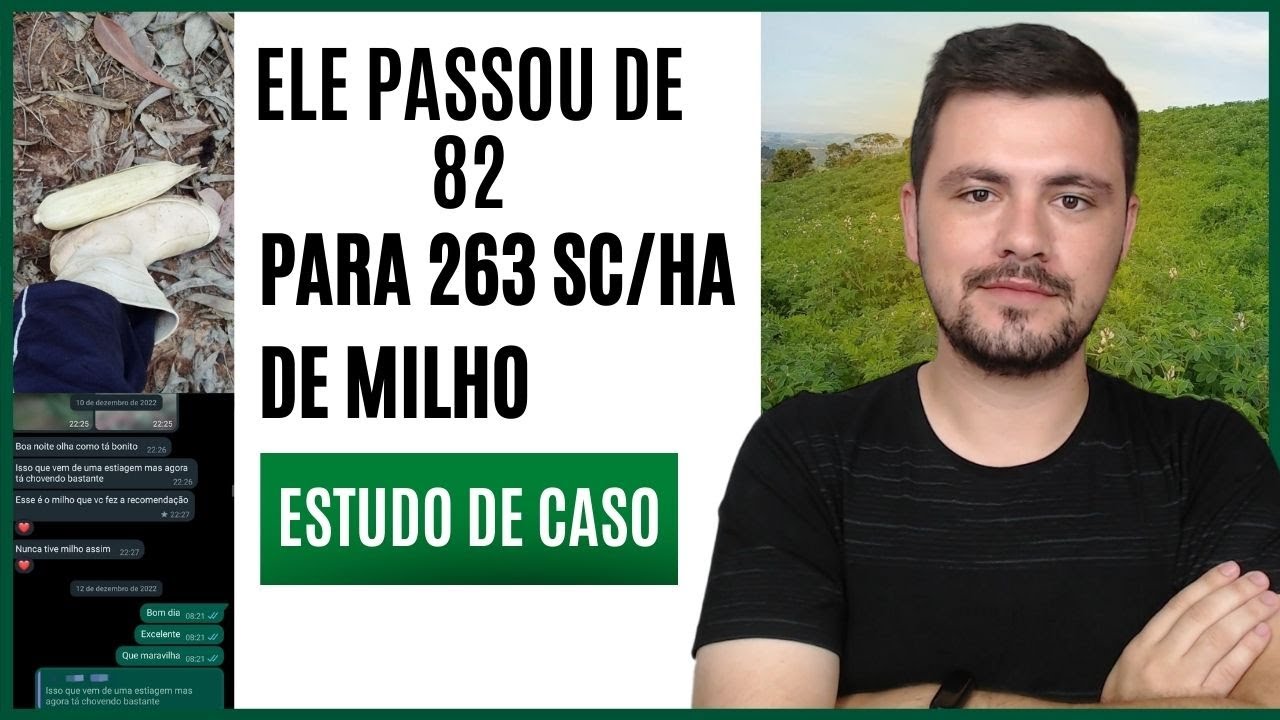 Esse produtor saiu de 82 para 263 sc/ha de Milho, veja o que foi feito - Estudo de Caso