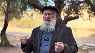 כיצד נזכה לגשם? | הרב יואל אליצור  (ישיבת הר הבית) - התמונה מוצגת ישירות מתוך אתר האינטרנט יוטיוב. זכויות היוצרים בתמונה שייכות ליוצרה. קישור קרדיט למקור התוכן נמצא בתוך דף הסרטון