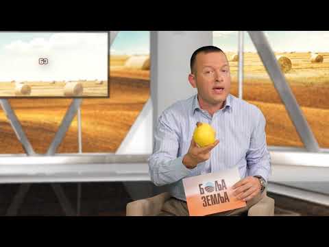 Tacno je da postoji DUNJA koja je STO posto otporna na ERVINIJU !!!