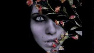 Afi - kiss my eyes and lay me to sleep [lyrics],  [pl], [subs], [hq]