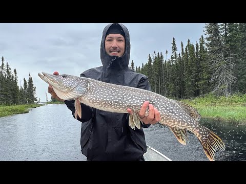 FLY-IN Fishing Trip in Northern Ontario - Hearst Air Martison Lake (Part 4)