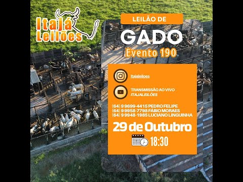 LEILÃO DA ITAJÁ LEILÕES