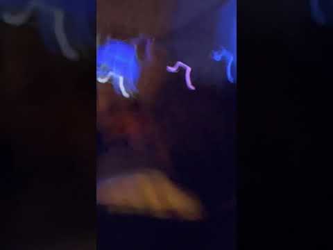 Billy Idol Elmwood Park, Roanoke Virginia, 9/24/21